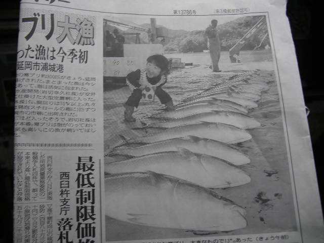 old-pictures-shima-no-ura-that-day-news-yellowtail.jpg