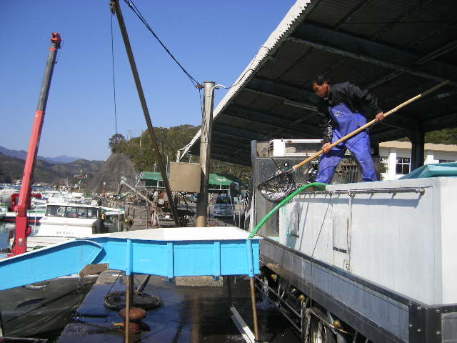 urashiro-fish-netted.jpg